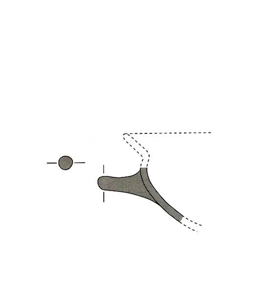 AUBET ET ALII. 1999, fig. 196, b