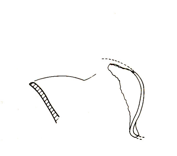 CABRERA 1991, 120, nº 48