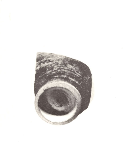 ARRIBAS, ARTEAGA 1975, lám. LXXI, nº 29