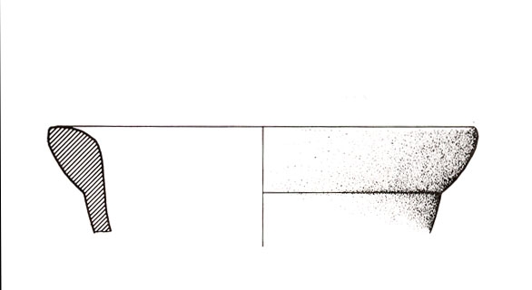 PELLICER ET ALII. 1983, fig. 50, 1269 j