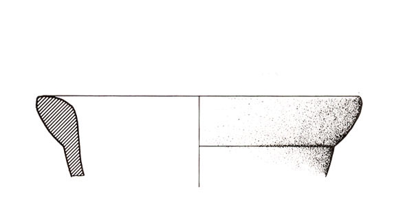 PELLICER ET ALII. 1983, fig. 50, 1269 j