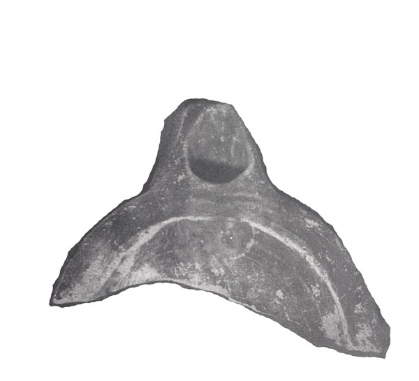 FERNÁNDEZ GÓMEZ ET ALII. 1979, lám. VIII