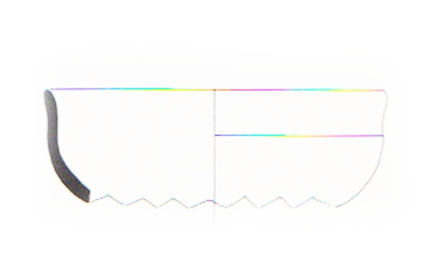 Aranegui et alii 1993