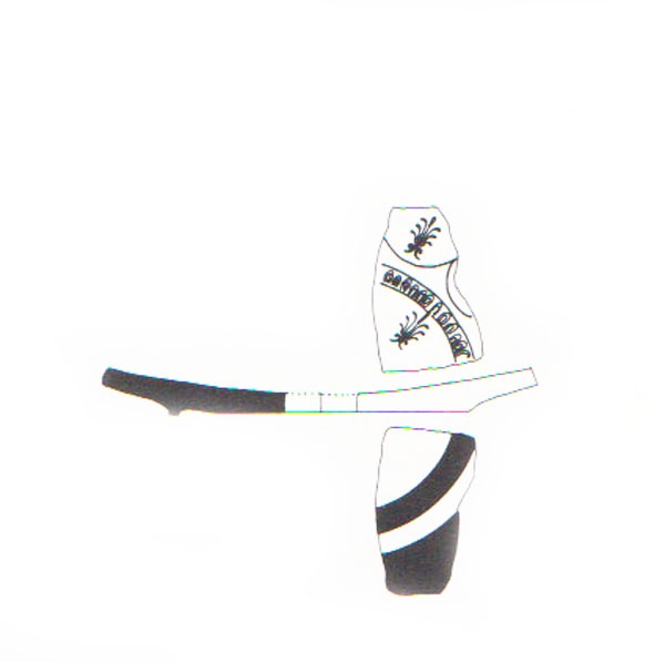 Aranegui et alii 1993