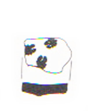 Aranegui et alii 1993