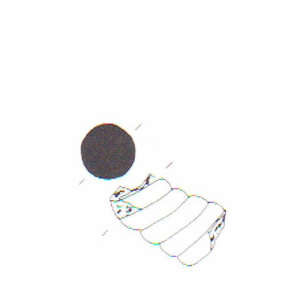 Aranegui et alii 1993