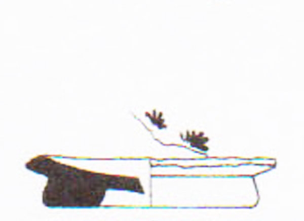 Aranegui et alii 1993