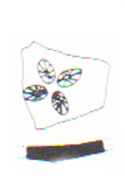 Aranegui et alii 1993