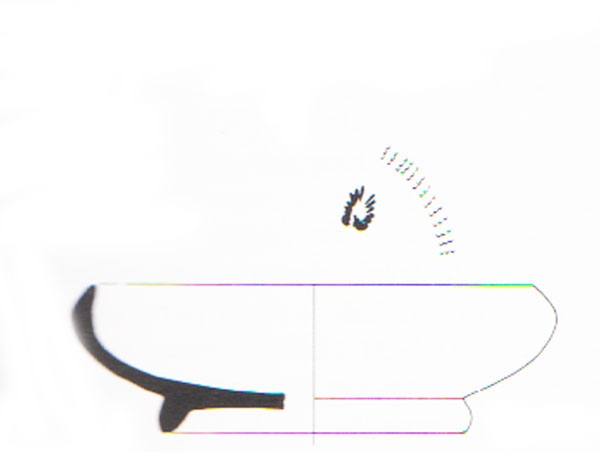 Aranegui et alii 1993