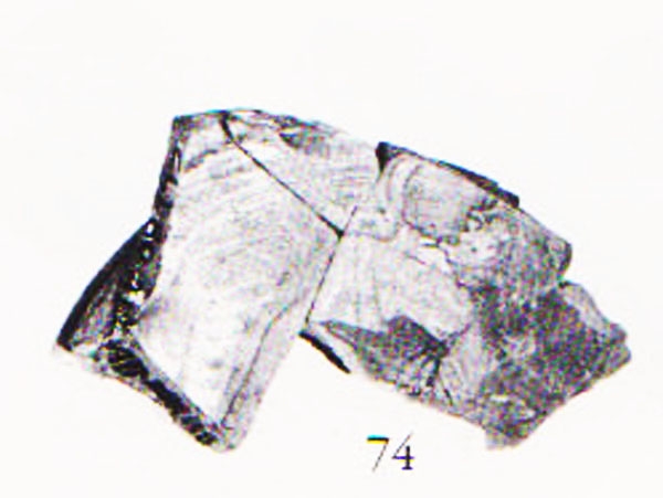 Aranegui et alii 1993