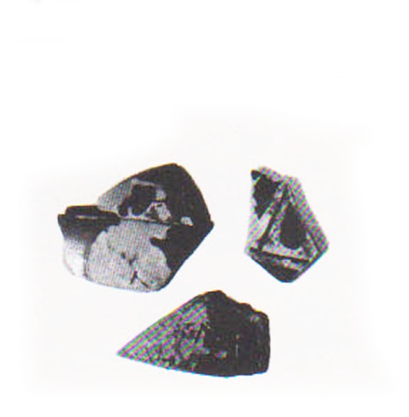 Aranegui et alii 1993