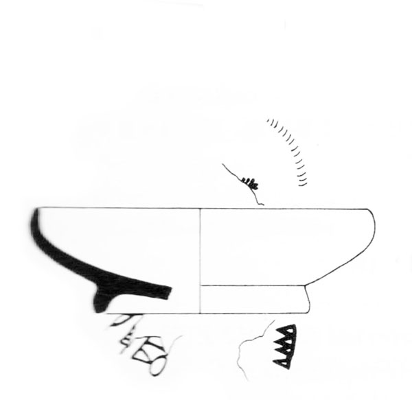 Aranegui et alii 1993