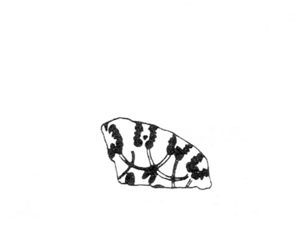 Aranegui et alii 1993