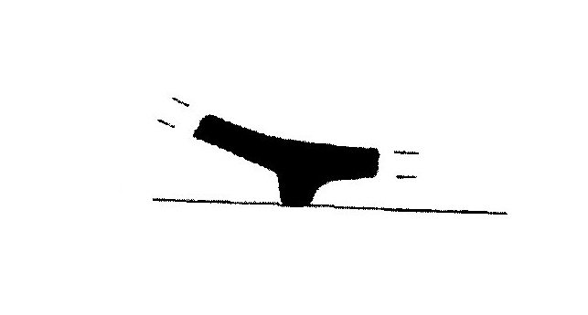 Jiménez Ávila/Ortega 2004