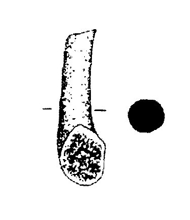 Jiménez Ávila/Ortega 2004