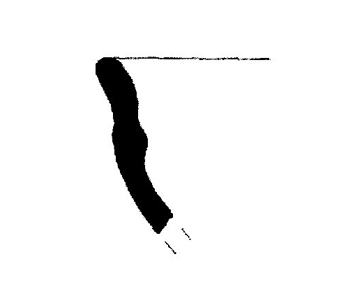 Jiménez Ávila/Ortega 2004