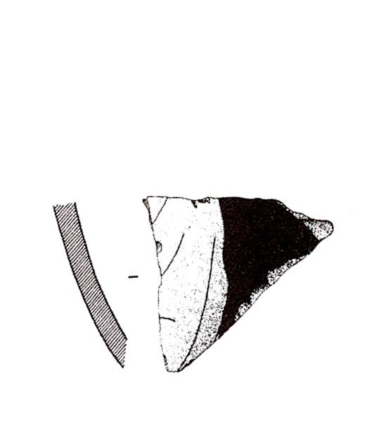 ADROHER ET ALII. 1997, fig. 6, nº 7