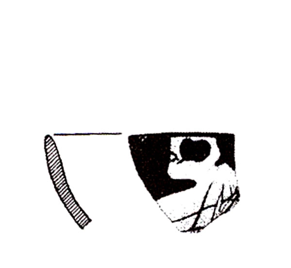 ADROHER ET ALII. 1997, fig. 6, nº 10