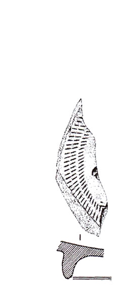 ADROHER ET ALII. 1997, fig. 6, nº 12