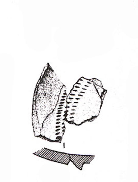 ADROHER ET ALII. 1997, fig. 6, nº 13