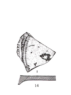 ADROHER ET ALII. 1997, fig. 6, nº 14