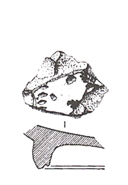 ADROHER ET ALII. 1997, fig. 6, 16