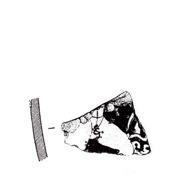 ADROHER ET ALII. 1997, fig. 6, nº 5