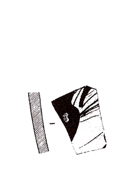 ADROHER ET ALII. 1997, fig. 6, nº 8