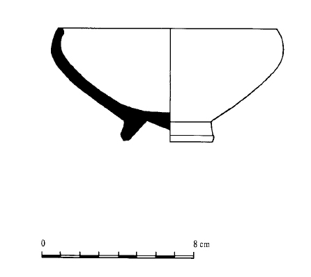 CURA 1993. Fig.1-13