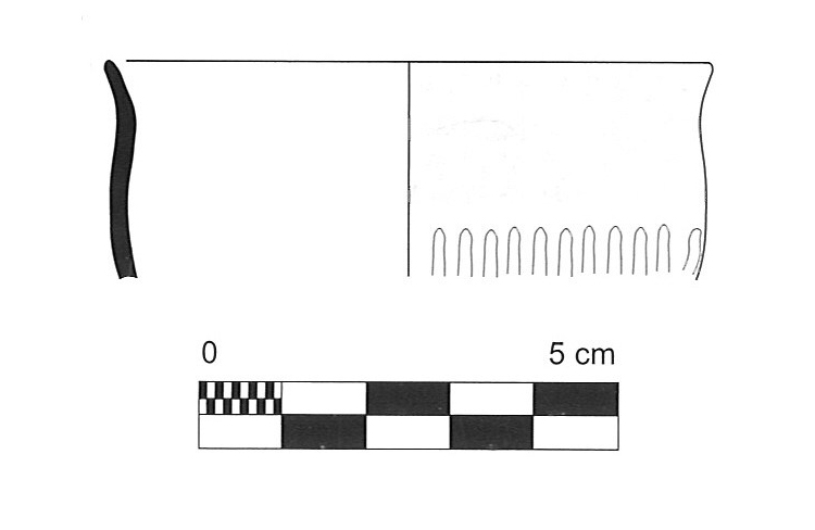 CURA 2006. Lam. 102-2