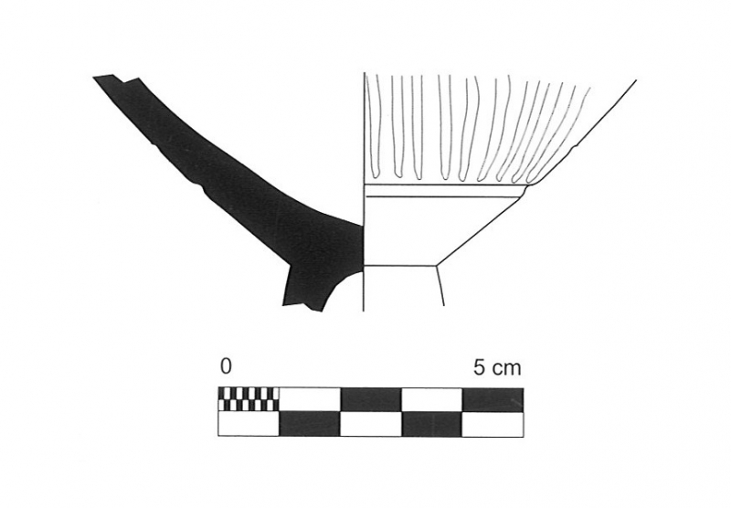 CURA 2006. Lam. 119-2
