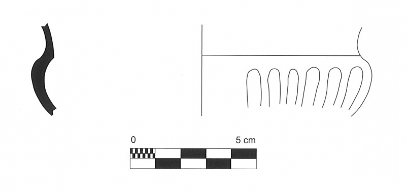CURA 2006. Lam. 123-3