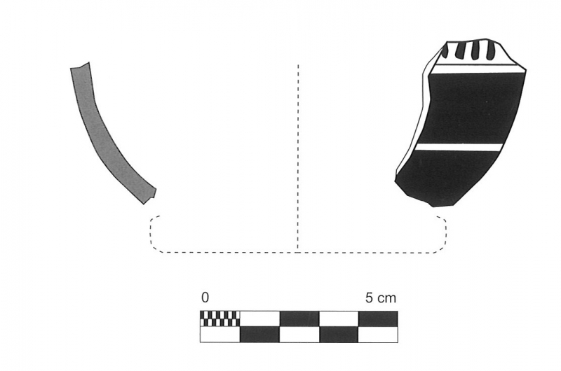 CURA 2006. Lam. 87-9