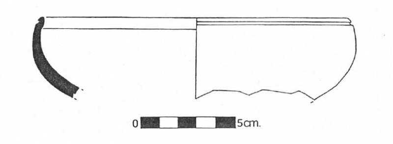 CURA PRINCIPAL 1993a. fig.2-5