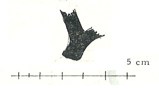 DE LA VEGA 1987. Lam.4-18