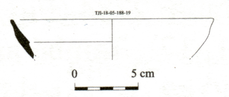 DÍAZ GARCÍA 2008. Fig.10-10