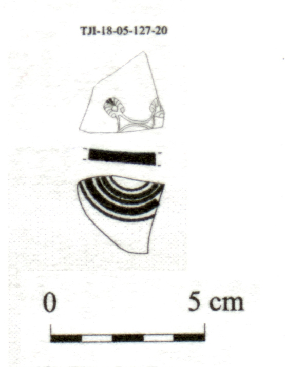 DÍAZ GARCÍA 2008. Fig.10-17