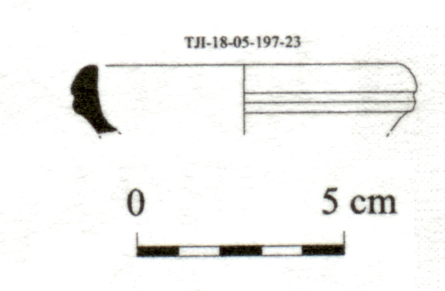 DÍAZ GARCÍA 2008. Fig.10-18