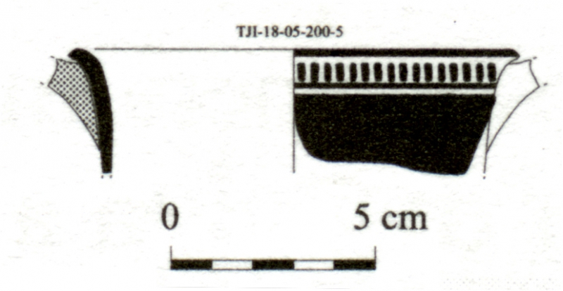 DÍAZ GARCÍA 2008. Fig.10-22