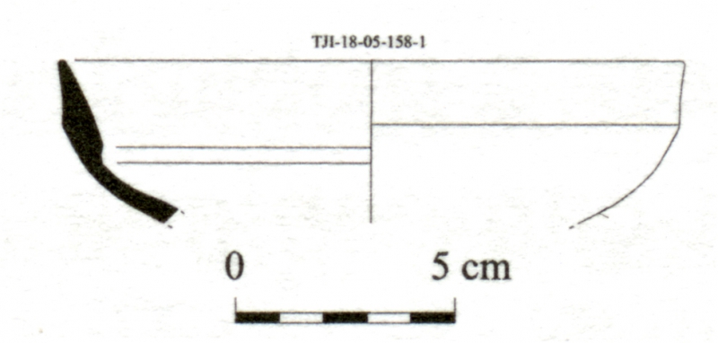 DÍAZ GARCÍA 2008. Fig.10-9