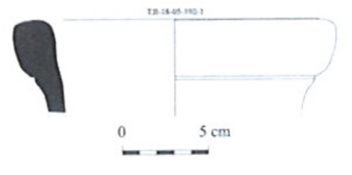 DÍAZ GARCÍA 2008. Fig.11-4