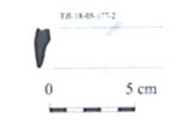 DÍAZ GARCÍA 2008. Fig.11-7