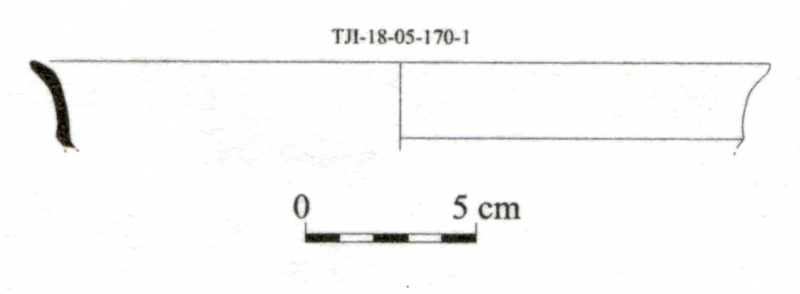 DÍAZ GARCÍA 2008. Fig.9-13