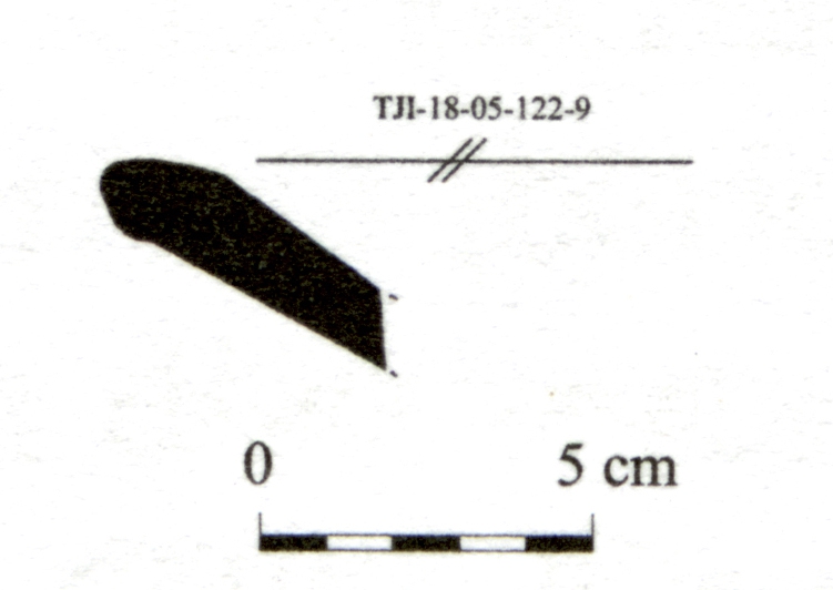 DÍAZ GARCÍA 2008. Fig.9-3