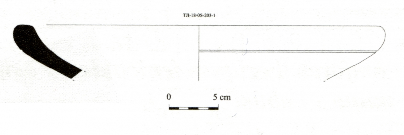 DÍAZ GARCÍA 2008. Fig.9-5
