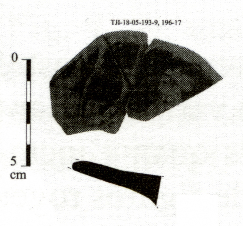 DÍAZ GARCÍA 2008. Fig.9-6