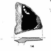 Lázaro et alii 1981