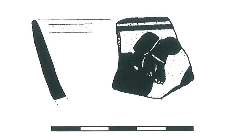 Domínguez, Sánchez 2001. Fig.49