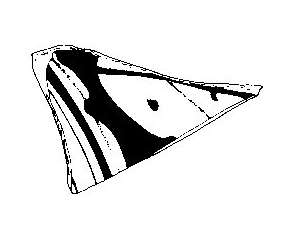 Broncano/Blánquez 1985