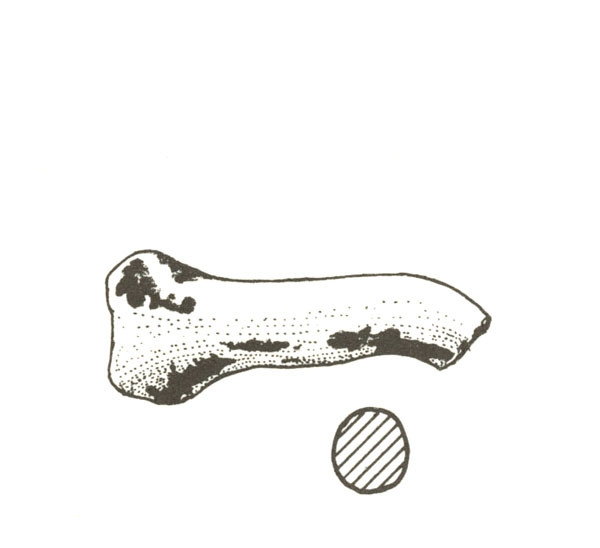 AMO DEL 1978, fig. 2, 4